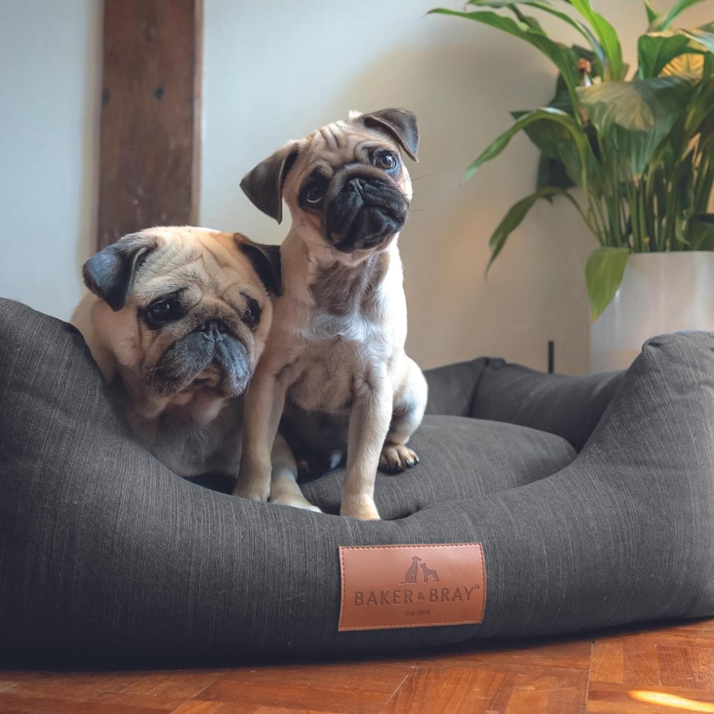Best Dog Bed For Arthritis: Baker and Bray Eco Review